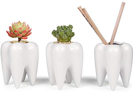 ComSaf Cute Tooth Shaped Pen Pencil Holder, White Ceramic Succulent Planter Pots for Home Office Decoration Desk Organization, Set of 3