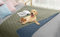 Ameritex Wasserdichte Hundedecke für Bett, Couch, Sofa, 132 x 203 cm, Grün + Marineblau
