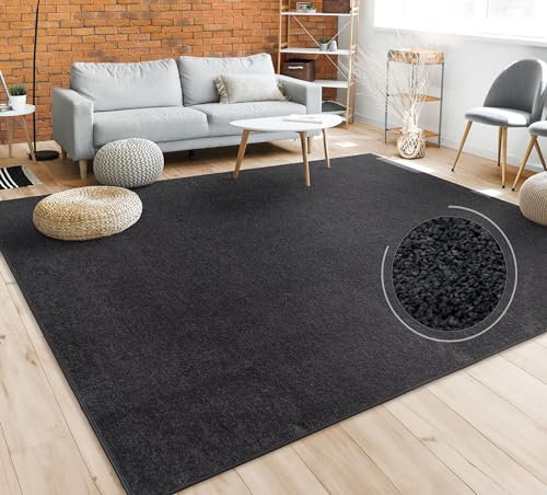 Paco Home Tapis Salon Uni Sobre Et Moderne Poils Ras, Diff. Tailles/Coloris, Dimension:240x340 cm, Couleur:Noir
