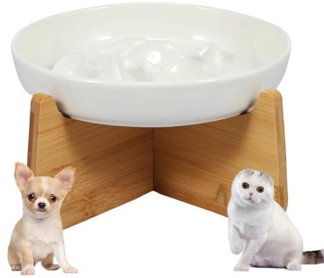 Gamelle Anti Glouton Chat Ceramique Bol pour Chat Surélevée avec Base Antidérapante Labyrinthe Interactif Gamelle Anti Glouton Petit Chien Plat Assiette Régime pour Alimentation Lente (Blanc)