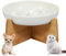 Gamelle Anti Glouton Chat Ceramique Bol pour Chat Surélevée avec Base Antidérapante Labyrinthe Interactif Gamelle Anti Glouton Petit Chien Plat Assiette Régime pour Alimentation Lente (Blanc)