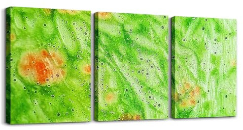Loussiesd Pfannkuchen 3er Poster Set für Schlafzimmer Wohnzimmer Schlafzimmer Gemüse Pfannkuchen Moderne Wandbilder Bionische Nahrung Kunstdruck Wanddekoration Deko Grüne Nahrung Deko Bilder