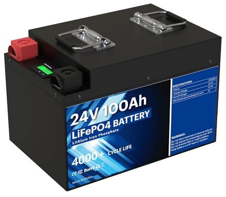 WILLQ LifePO4-Batterie 24V 100Ah 2560Wh 24V Lithiumbatterie Deep Cycles 5000+ eingebautes 100A BMS für Energiespeicherung im Haus/Wohnmobil/Solar/Camping/Boot/Marine/Trolling-Motor