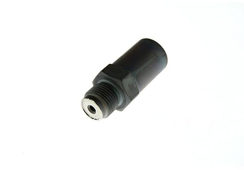 Bosch 1110010032 Pressure Limiting Valve