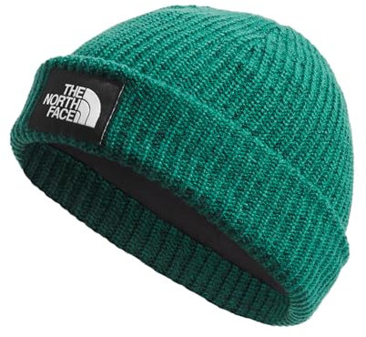 THE NORTH FACE Salty Dog Beanie, Evergreen, OS