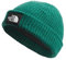 THE NORTH FACE Salty Dog Beanie, Evergreen, OS