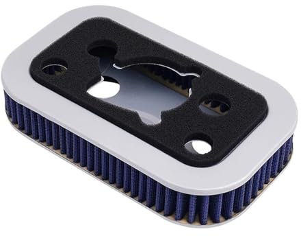 Filtro Aria Moto Per Sportster 1200 883 XLH1200 XL1200C XL1200S XLH883 29036-88B 29331-96 Elemento Detergente Per Filtro Aria Moto Filtro Aspirazione Aria Moto