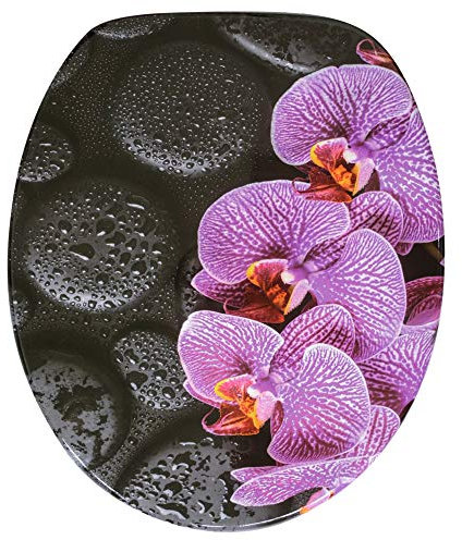 Sanilo Toilet Seat, Great Range of Colorful Toilet Seats, Stable Hinges, Easy to Mount (Madeira)