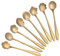 Flisdtry Lot de 8 cuillères à café en forme de fleur en acier inoxydable pour cuisine, café ou bar