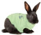 MPS Medical Pet Shirt Kaninchen, Grün, M