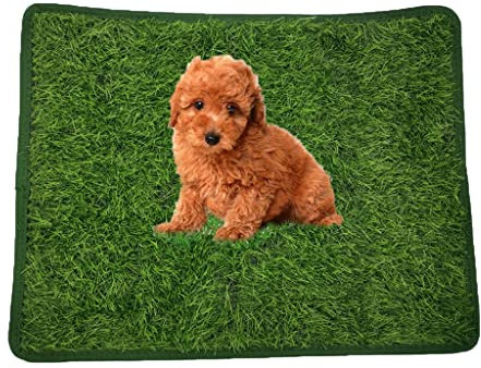 Artificial Grass Tiles Artificial Turf Mats For Dogs, Indoor Outdoor Pet Potty Training Rug, Artificial Turf Dog Urine Mat (Size : 46x36cm)