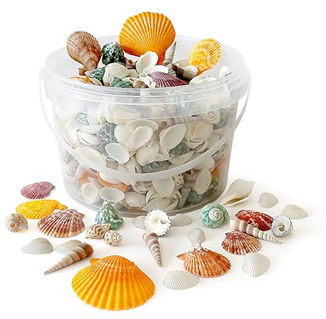 Rainbow Eco Play Sea Shells, Mixed Seashells approx. 450pcs, Natural Shells for Crafting, Real Beach Shells, Decorative, Arts and Crafts, Vase, Aquarium, Fish Tank, Home Décor