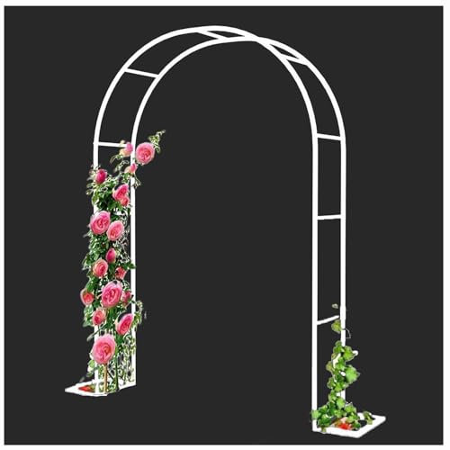 Rosenbogen aus Eisen Stabiles Torbogen Rankhilfe Metall Gartenbogen für Outdoor Hochzeit Rankbogen Weiss schwarz Rankgitter Verzinkt Für Kletterrosen Und Clematis Rosenspalier(White,120cm)