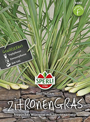 Sperli 84783 Zitronengras Lemon (Zitronengrassamen)