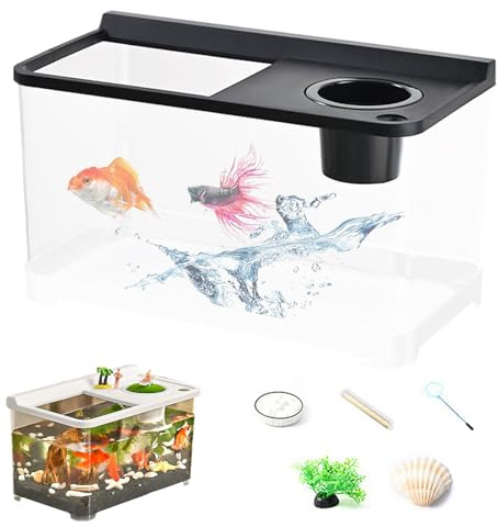 Duvcoywae Petit Aquarium Lumières 3 Couleurs,Bac À Poisson Paysager - Écosystème Élégant pour Bureau Maison Entrée Chambre à Coucher