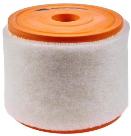 Champion caf101081r Fächer-Motor
