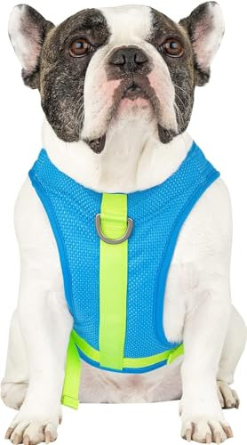 Canada Pooch Kühlgeschirr für Hunde – Verdunstungskühlgeschirr für Hunde mit atmungsaktivem Netzmaterial und reflektierendem Futter, verstellbare Kühlweste für Hunde, ideal für Hunde, Blau, 14