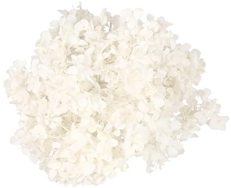 TOPPERFUN 1paquet Fleurs Séchées Naturelles Pétales Hortensia Éternels Blanc Décorations pour Anniversaires Et Mariages Art Et
