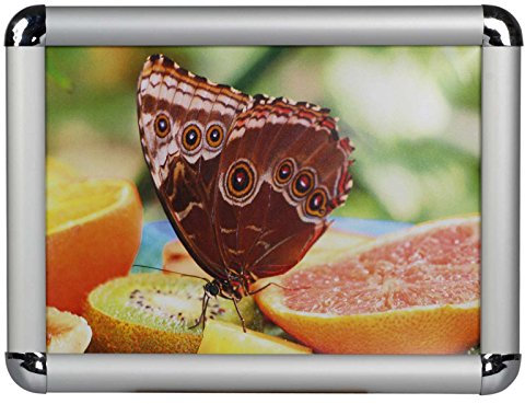 Druckspezialist 25mm Klapprahmen Plakatrahmen DIN A2 Wechselrahmen