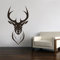 Hirsch Hirschkopf Geweih Jagd Jäger Wandtattoo Wandaufkleber Wandsticker Wohnzimmer Aufkleber Sticker (109 x 58 cm, Schwarz)
