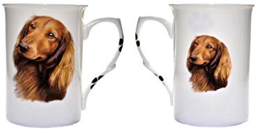 (BB27) Hand Decorated Set of 2 Bone China BEAKERS/Mugs Long HAIRED Dachshund Dog Presentation Gift Boxed- Lovely Gift, Kirsty Jayne China, Hand Decorated