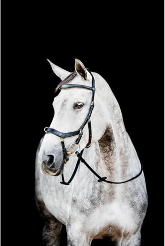 Horseware HW Micklem2 Multi Bridle, Warmblut, Schwarz