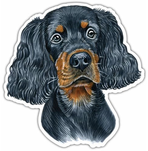 Samunshi® Gordon Setter Aufkleber Autoaufkleber für Motorrad Fahrrad Roller oder Auto Sticker Fahrrad Mtb Mountainbike Rennrad Hund Dog Dogo 25cm Gordon Setter