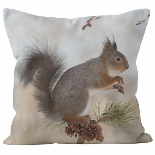 Nimvoya Leinen Kissenbezüge Sofakissen Kissenhülle XXL 40x40cm, Eichhörnchen Kissenbezüge Junge Kissenhülle Klein Wohnzimmer Sofa Dekor 1Pcs