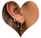 Gold Ohrringe Set für Mehrere Ohrlöcher Hypoallergen Helix Piercings Ohr für Damen 14K Vergoldet Ohrstecker Set Klein Creolen Gold Ohrringe Knorpel Ohrstecker Conch Tragus Piercing Gold