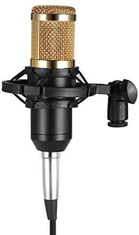 BM800 Microphone à condensateur avec support antichoc 3 5 mm éponge pour studio de diffusion sonore professionnelle Qualité claire
