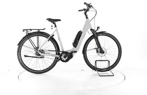 FALTER E Bike E 8.2 RT City E-Bike Damen Herren 28 Zoll Elektrofahrrad, Shimano 40 Nm 504 Wh, 8 Gänge, Hydraulische Scheibenbremse 177-187 cm weiß (Generalüberholt)