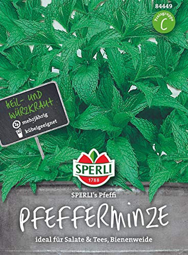 Pfefferminze SPERLING´s pfeffi