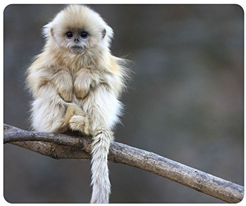 White Monkey Customized Rectangle Mousepad, Gaming Mouse Pad Mouse Mat