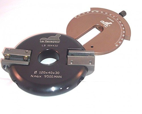 Le Ravageur : Porte-outils inclinable multipente inclinable + regleur toupie 30 mm