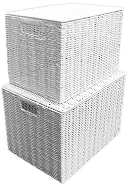 Arpan Laundry Resin Woven Hamper Basket Storage Chest Trunk Hamper/Kids Toy Storage (2 Pack, L/M)