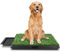 63 x 50 cm große Hundetoilette, Welpentoilette, Trainingsunterlage für kleine, große und ältere Hunde – Tiertoilett