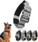 Ledeak Taktisches Hundehalsband mit Griff, Verstellbares Anti Zieh Breites Hunde Halsband Gepolstert, Dog Collar mit Metallschnalle erziehungshalsband für Hunde (Silber, XL)