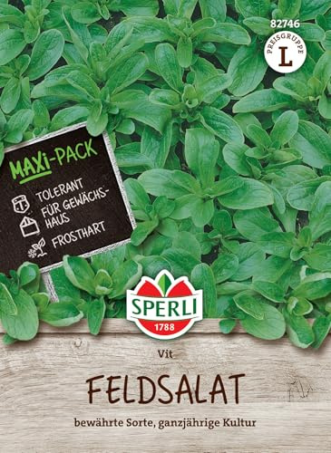 Feldsalat Vit, Maxipack 20 g