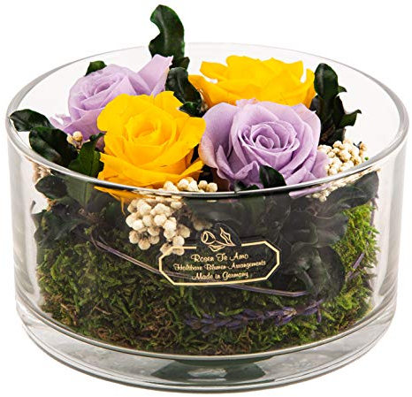 Rosen-Te-Amo |Konservierte Rosen im Glas, duftend, gelb handgemacht mit echten Foliage Geburtstagsgeschenk für Frauen, echte Rosen Geschenke für Mama|Blume zum Weihnachten, Valentinstag, Muttertag