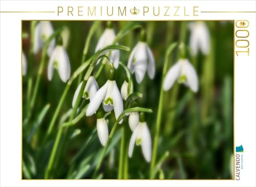 Puzzle · Schneeglöckchen | 1000 Teile · Lege-Größe 64 × 48 cm · CALVENDO Puzzle