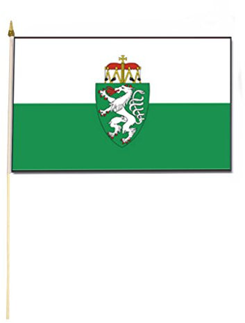 Stockflagge/Stockfahne STEIERMARK mit Wappen Flagge/Fahne ca. 30 x 45 cm mit ca. 60cm Stab/Stock