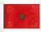 BANDERA NAUTICA PABELLÓN DE GUERRA MARRUECOS 45x30cm - Pabellón de conveniencia MARROQUÍ - PABELLÓN NAVAL 30 x 45 cm anillos - AZ FLAG