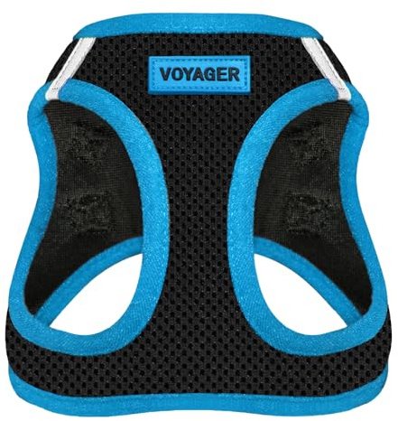 Best Pet Supplies Voyager Step-in Air Hundegeschirr – Allwetter-Netzgewebe für kleine und mittelgroße Hunde – Blauer Rand, L