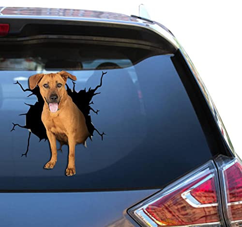 Rhodesian Ridgeback Fensteraufkleber, Rhodesian Ridgeback, Auto-Aufkleber, lustig, kleine Dekoration, Atickers für Kinder, Vinyl-Kühlschrank-Aufkleber