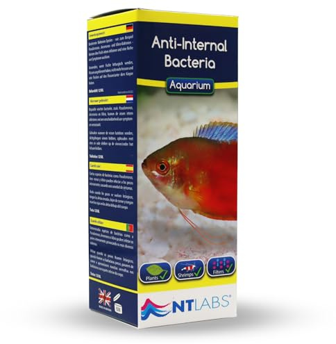 NT Labs Aquarium Anti-Internal Bacteria Treatment (250ml Treats 1250L) | Treats clamped fins, red blotches, dropsy & pop-eye. Shrimp-safe anti-bacterial medicine. Harmless to filter bacteria.