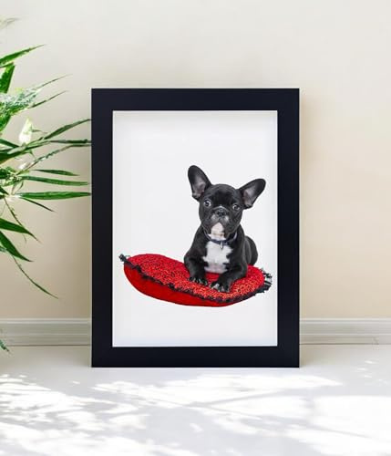 A4 Black Solid Wood Frame, A4 Picture Frame, A4 Photo Frames, A4 Poster Frame with Acrylic Glass, 21cm x 29.7cm Certificate Frame for Table Top and Wall Mounting, Black (Black)