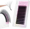 ANNAFRIS 6D W Lash Extension Premade Fan Lashes 0.07 C 8-15mm Mix Russian Volume Eyelashes Pre Made 6D W Lash Matte Black False Lashes(8-15mm, 0.07 C)