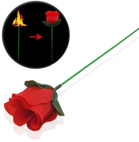 Fackel zu Rose, Flamme zu Rose erscheinende magische Blume, Feuerzauber Trick, Flamme erscheinende Blume, professionelle Zauberer-Requisiten, einfache Zaubertricks, Mentalismus-Magie für