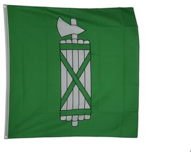 Flaggenfritze Hissflagge Schweiz Kanton St. Gallen 150 x 150 cm - quadratische Kantonsfahne für Mast, Garten & Event - 3 Metallösen