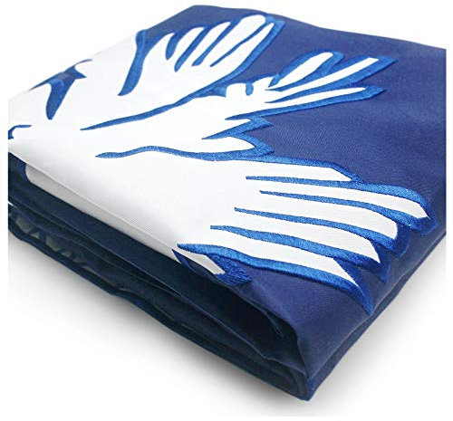 VSVO South Carolina Bundesstaatsflagge, 90 x 152 cm, doppelseitig bestickt, 300D strapazierfähiges Polyester für den Innen- und Außenbereich, genähte Streifen, Messingösen, US-SC-Stadtflagge